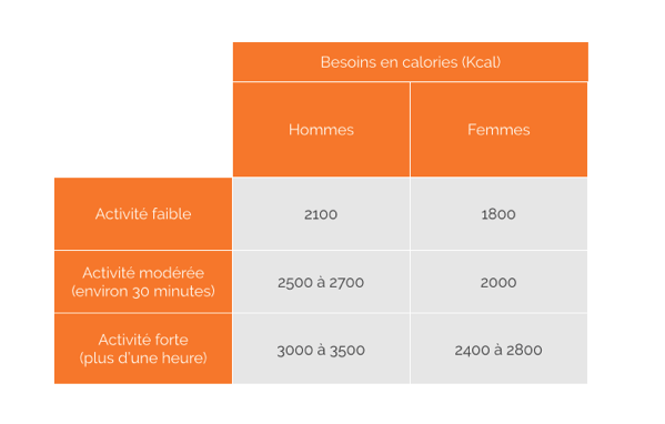 Besoins nutritionnels