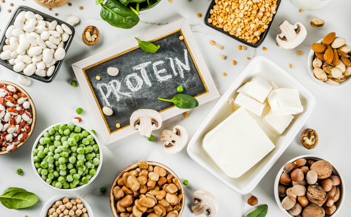 Aliments riches en protéines végétales